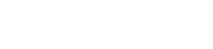 NEMO TALLER